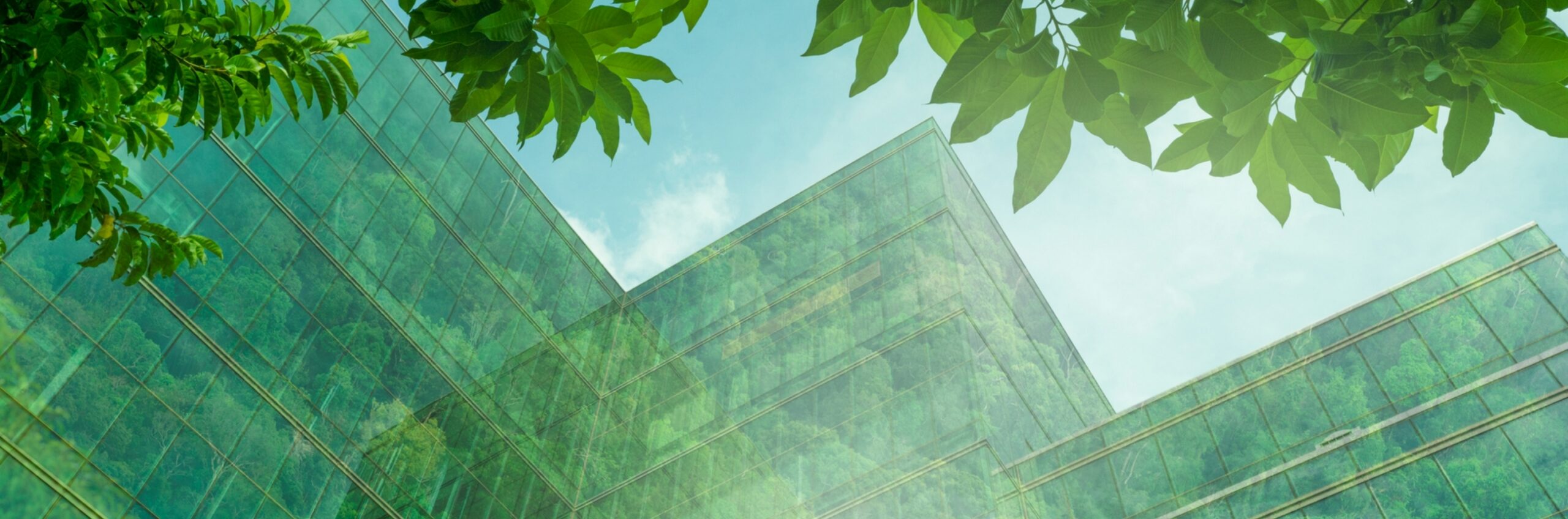 環境配慮のイメージ写真